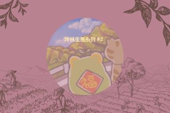 Cover 15   