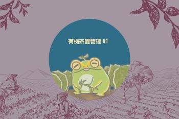 Cover 19   