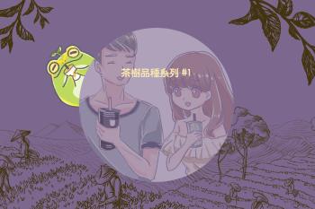 Cover 31   