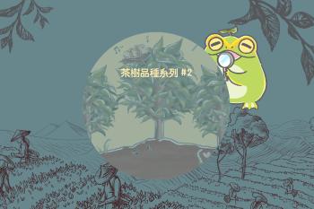 Cover 32   